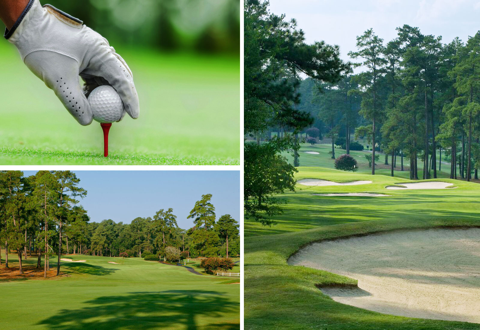 Play a round of golf at Forest Hills Golf Club or Gordon Lakes Golf Club
