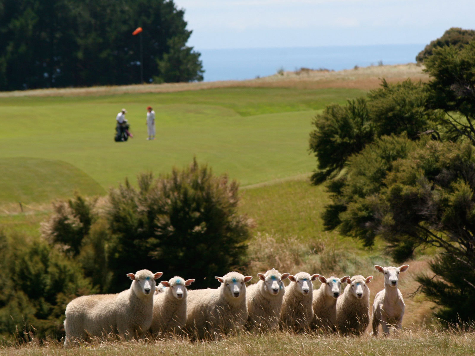 Inspiring Golf Landscapes of New Zealand 