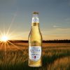The new Michelob ULTRA Pure Gold Organic Beer