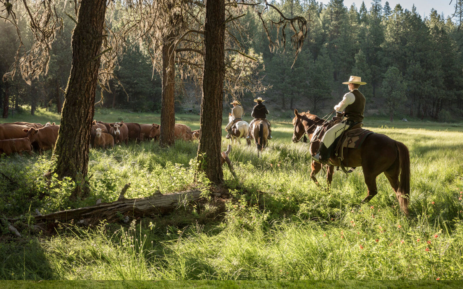 Silvies Valley Ranch is a Western Treat of a Retreat cowboys