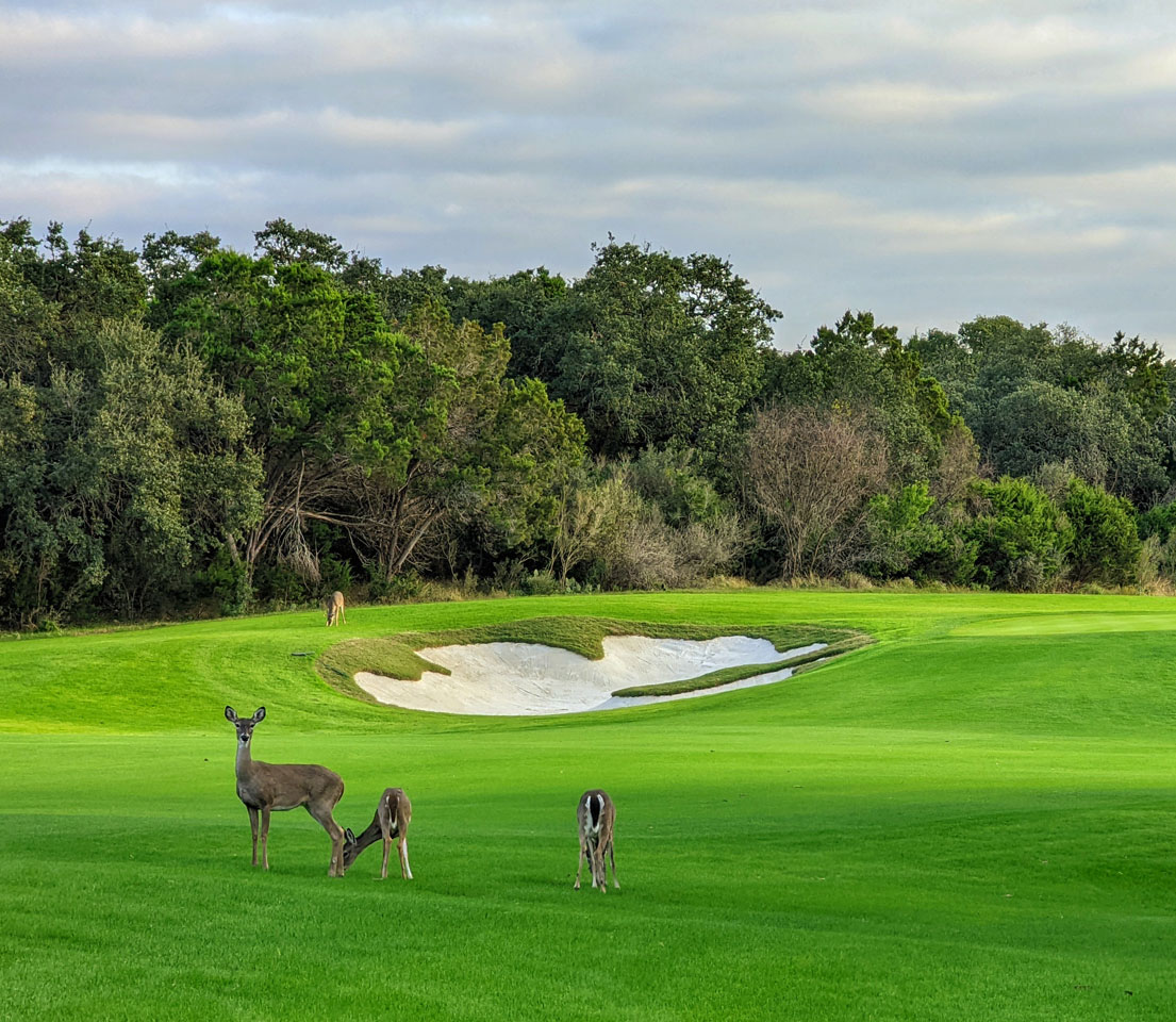 Play golf at sustainable courses on Earth Day